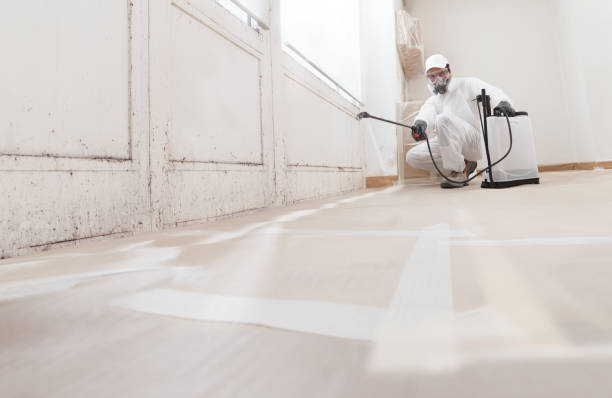 24/7 Emergency Black Mold Remediation experts in Bellevue, WA