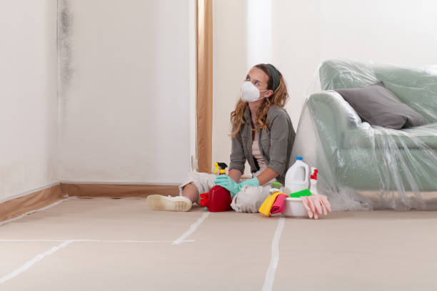 Reliable Black Mold Remediation contractor in Bellevue, WA by Car Mold Remediation